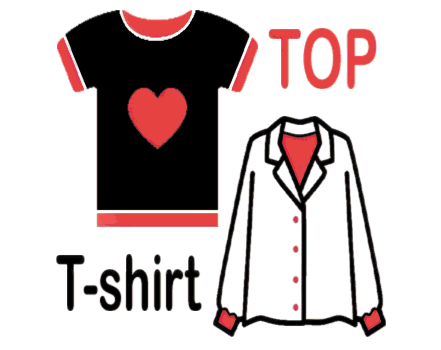 Girls Fancy Top & T-shirt